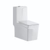 Ensemble Chaise anglaise + Lavabo monobloc tout Blanc